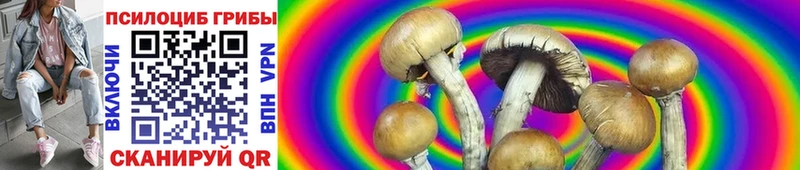 Галлюциногенные грибы GOLDEN TEACHER  Заозёрск 